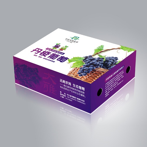 水果包装设计-丹棱葡萄包装设计|新鲜水果葡萄简装礼盒包装设计效果图