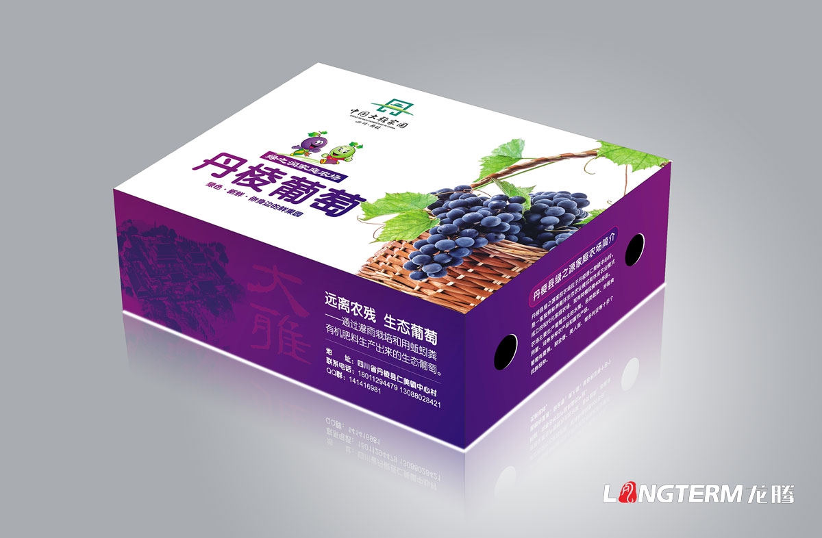 丹棱葡萄包装设计|新鲜水果葡萄简装礼盒包装设计效果图