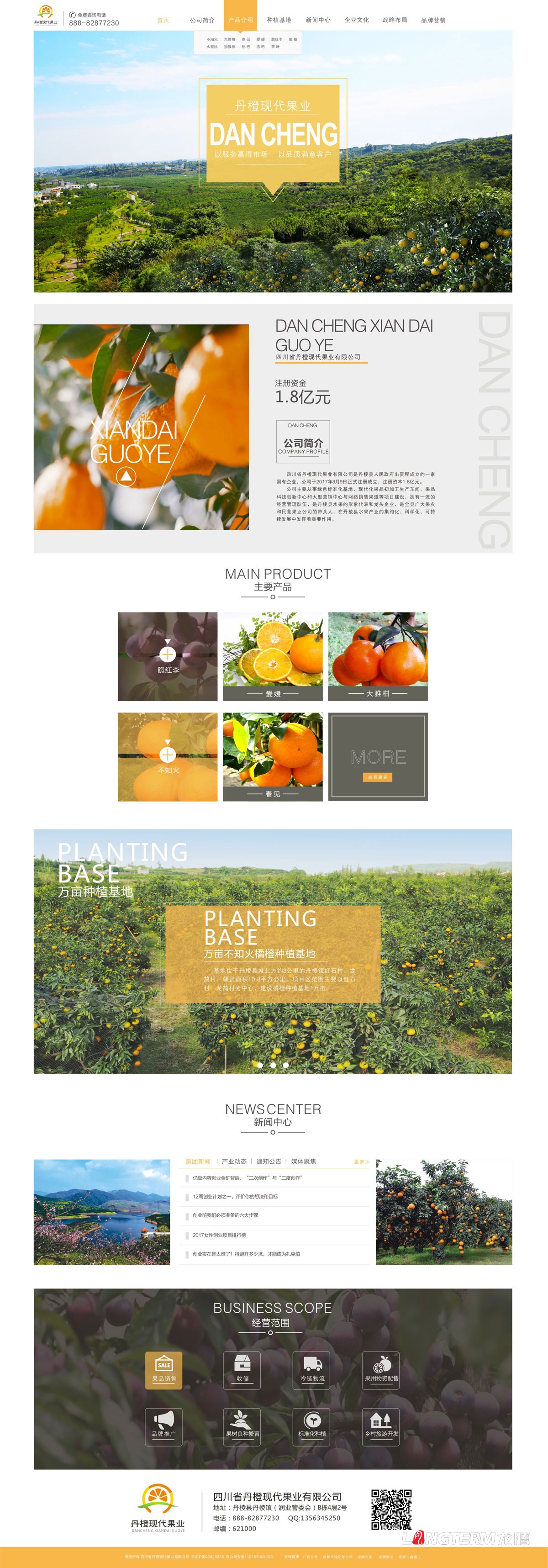 丹橙现代果业公司官网设计|不知火爱媛水果桔橙鲜果蔬菜公司网站设计建设制作开发