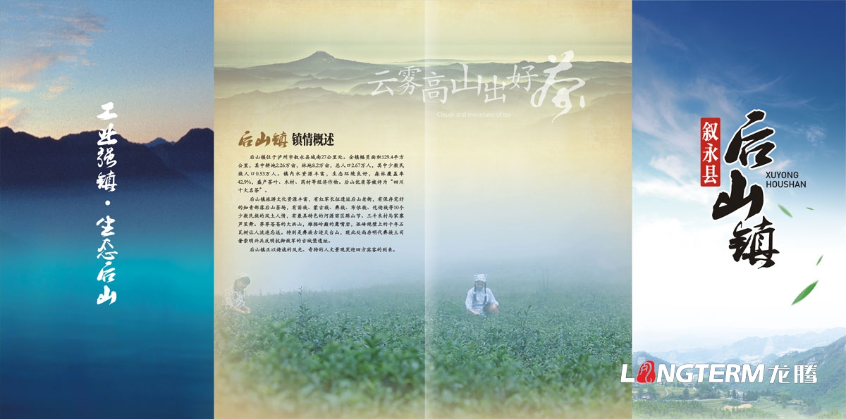 叙永茶文化节宣传单设计|叙永县后山镇生态绿色茶场宣传DM单折页广告设计