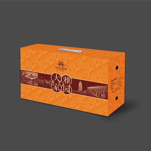 丹棱桔橙包装设计