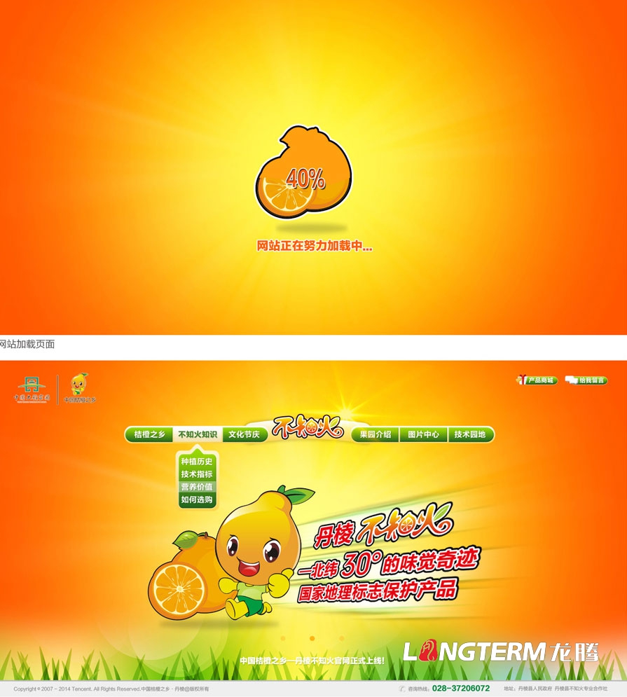 桔橙产品推广品牌营销策划形象设计|柑子橘子桔橙橙子柚子广柑脐橙LOGO商标VI标记品牌建设