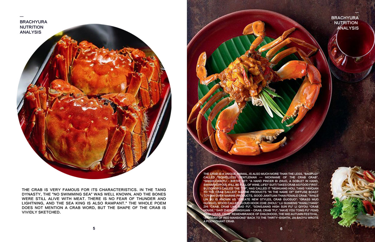成都美味美食宣传册设计公司|四川食品食材餐厅餐馆品牌形象宣传画册设计公司