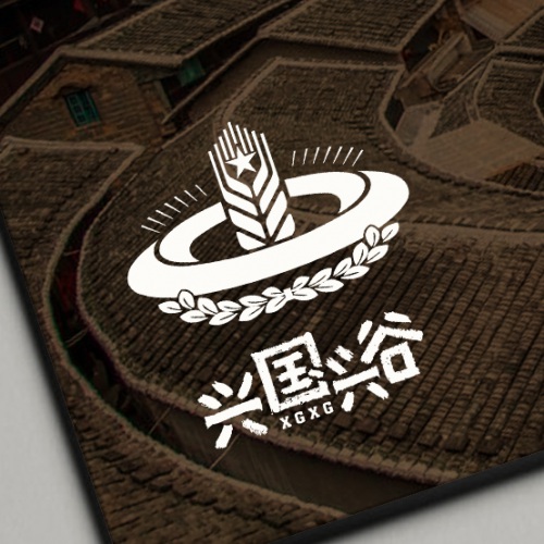 VI设计-本次为兴国兴谷农业生长有限公司LOGO标记设计_农业科技公司品牌视觉形象标记设计